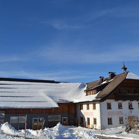 Апартаменти Vorderreithbauer Гоф-бай-Зальцбург Екстер'єр фото